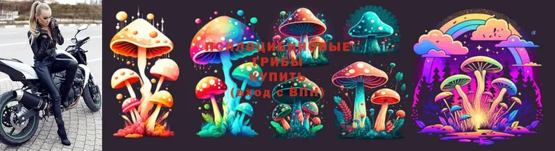 Псилоцибиновые грибы MAGIC MUSHROOMS  Карабаш 