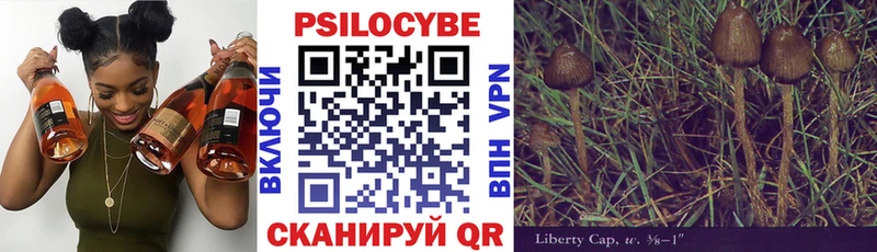 Псилоцибиновые грибы MAGIC MUSHROOMS Карабаш